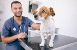 Conheça a importância dos exames dermatológicos